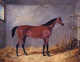 Stable Canvas Paintings - The Duke Of Grafton's Bolivar In A Stable